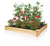 Greenes Garden Bed 5-1/2 " H X 48 " W X 48 " L Cedar