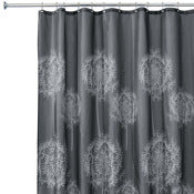 InterDesign 37021 Charcoal Dandelion Shower Curtain