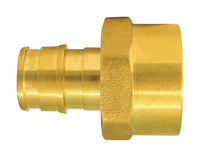 Apollo Expansion PEX / Pex A 1/2 in.   PEX  T X 1/2 in.   D FPT  Brass Female Adapter