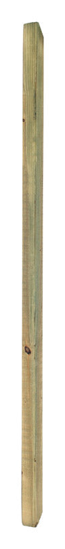 Marwood  36 in. H x 2 in. W x 2 in. L Lodge Pine  Beveled Baluster (Pack of 16)