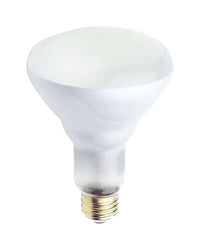 Westinghouse  65 watts R30  Spotlight  Incandescent Bulb  E26 (Medium)  White  2 pk