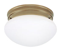 Westinghouse  4-3/8 in. H x 7-1/4 in. W x 7.25 in. L Ceiling Light