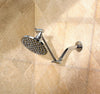 OakBrook  Chrome  Plastic  Showerhead  2.5 gpm