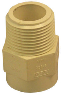 CPVC Male Pipe Thread Adapter, 0.75-In.