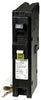 Schneider Electric Usa Inc 1-Pole Fault Plug-In Mount Miniature Circuit Breaker 120V ac 15A