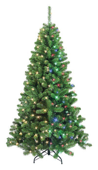 Celebrations  Home  6-1/2 ft. Multicolored  Prelit Christmas Tree  LED Artificial Tree  200 lights