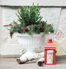 Bloem Grecian Urn 10.5 in. H X 12 in. D Plastic Flower Pot Casper White