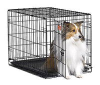 PE 36" SGL DR Dog Crate