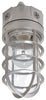 Floodlight With Bulb Guard, Incandescent, 100-Watt