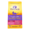 Wellness Pet Products - Cat Dry Indoor Slmn Herrg - Case of 6 - 2.25 LB