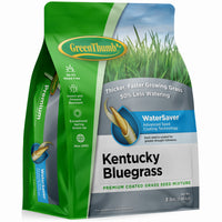 Premium Coated Kentucky Bluegrass Seed, 3-Lbs., Covers 2,000 Sq. Ft.