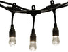 Enbrighten 31660999 12' LED Cafe' Lights