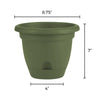 Bloem Lucca Living Green Plastic Self-Watering Planter 8 in.