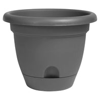 Bloem Lucca 5.3 in. H X 6 in. D Plastic Planter Charcoal (Pack of 12)