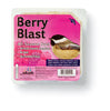 Heath Berry Blast Songbird Suet Beef Suet 11.25 oz. (Pack of 12)