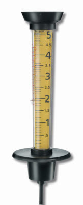 Taylor Rain Gauge & Thermometer Ground 5.3 in. W X 14.5 in. L