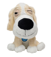 Diggers Multicolored Assorted Styles Plush Dog Toy Large  1