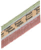 Paslode RounDrive 2-3/8 in. Angled Strip Hot-Dip Galvanized Framing Nails 30 deg 2000 pk